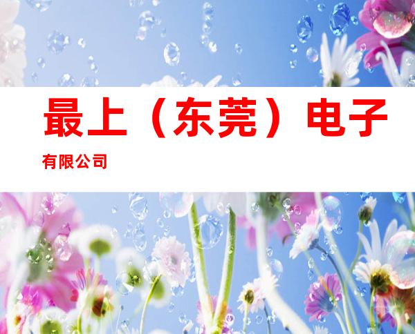最上（东莞）电子有限公司
